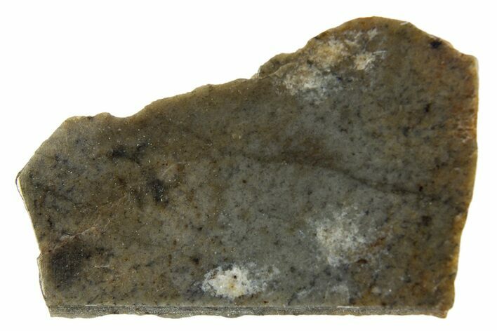 Rare, Lunar Basaltic Breccia Meteorite ( g) Slice - NWA #308390